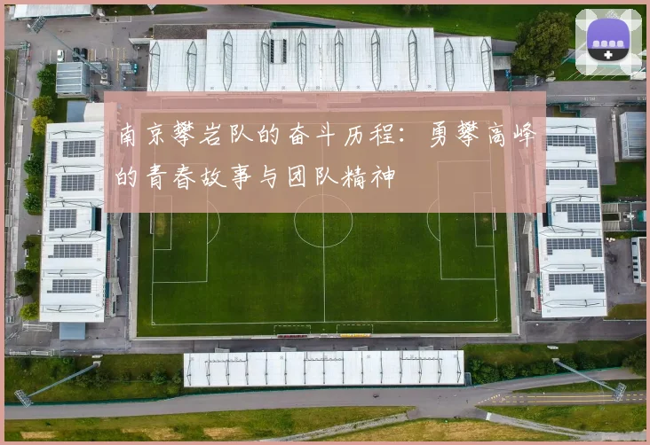 南京攀岩队的奋斗历程：勇攀高峰的青春故事与团队精神