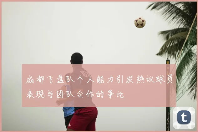 成都飞盘队个人能力引发热议球员表现与团队合作的争论