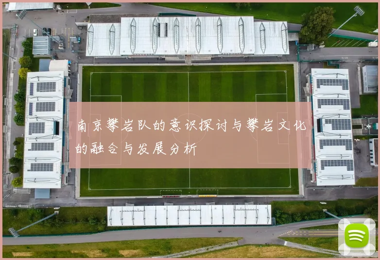 南京攀岩队的意识探讨与攀岩文化的融合与发展分析