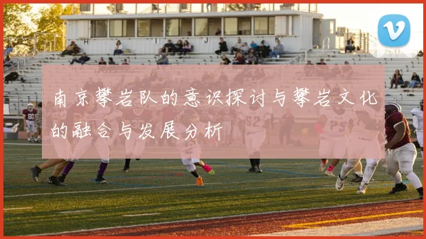 南京攀岩队的意识探讨与攀岩文化的融合与发展分析
