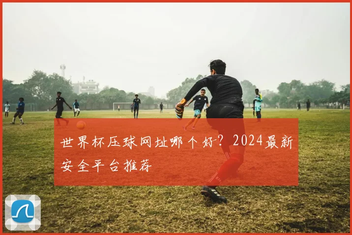 世界杯压球网址哪个好？2024最新安全平台推荐