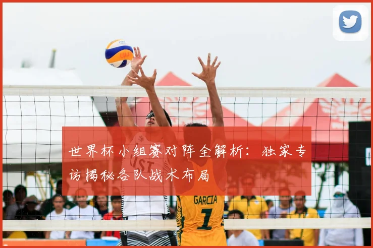 世界杯小组赛对阵全解析:独家专访揭秘各队战术布局