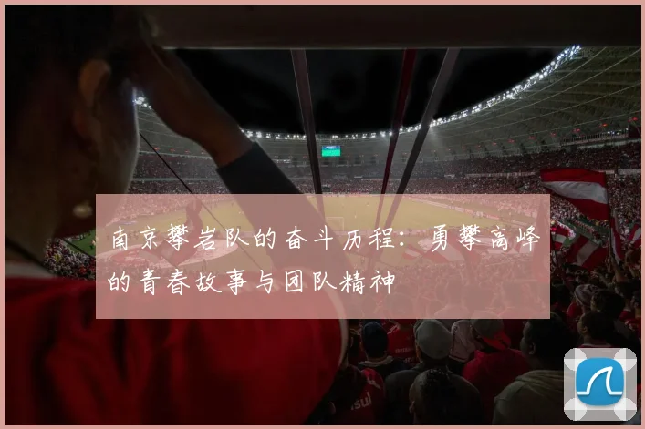 南京攀岩队的奋斗历程：勇攀高峰的青春故事与团队精神