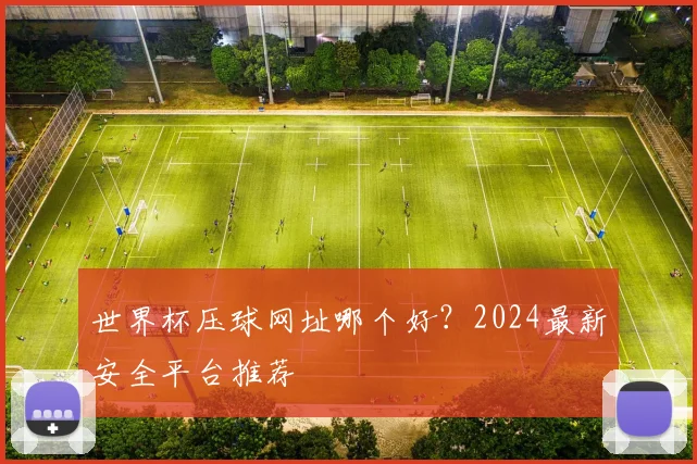 世界杯压球网址哪个好？2024最新安全平台推荐