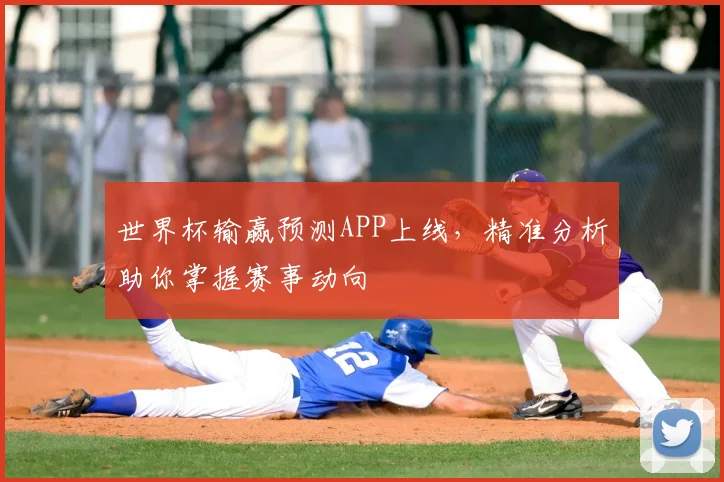 世界杯输赢预测APP上线,精准分析助你掌握赛事动向