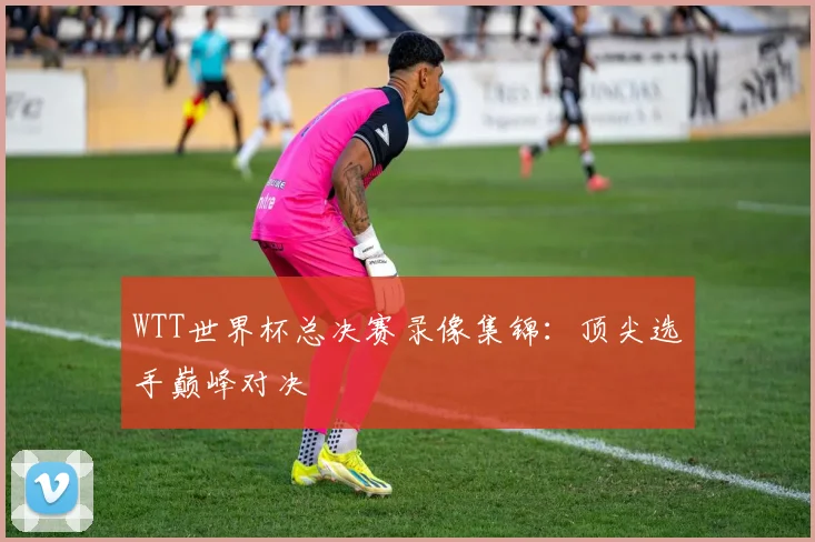 WTT世界杯总决赛录像集锦:顶尖选手巅峰对决